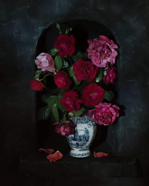 Photograph Diana Trillo Rosas on One Eyeland